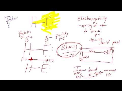 Covalent Bonding and Electronegativity Quick Video