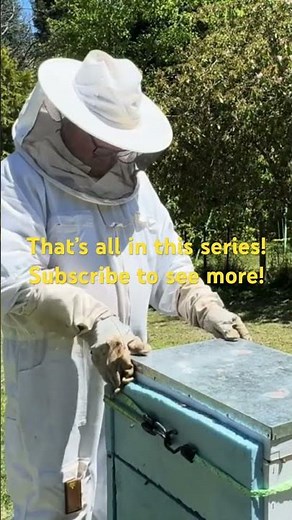 The Fastest Way to Rebuild an Insulated Hive Setup 😮🧩 | Beekeeping