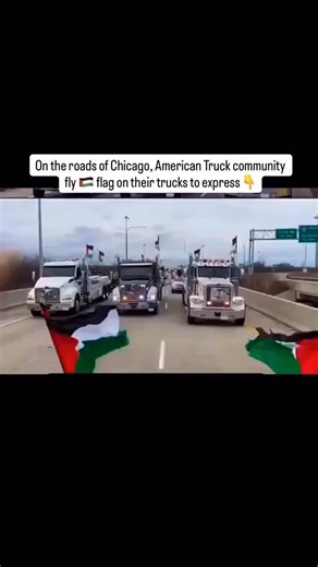 13K reactions · 1.9K shares | On the roads of Chicago, American Truck community fly  flag on their trucks to express #chicago #truckcommunity #supportpalestine | YPS | Facebook