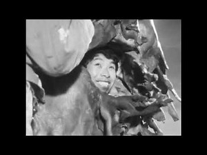 Godzilla vs. Hedorah (1971) Behind the scenes