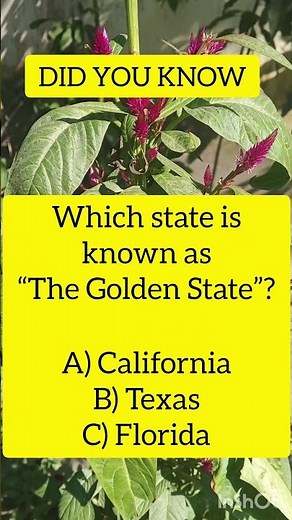 Which U.S. State is Called “The Golden State”? 🇺🇸 The Surprising Truth! #iqvistax #brainteaser
