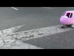 AIRPLANE ! ELSA toddler gets AIRSICK in Barbie's Plane - Travel Adventure - Vacation