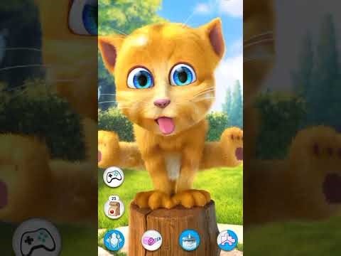 Talking Ginger Hides in Turtle Shell! 🐱🤣