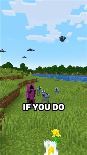 Do not kill this chicken...