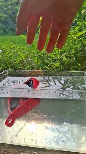The Truth About JBL GO 4 Waterproofing Naked Test