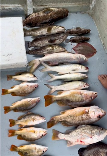 Fishing Adventure at Pulau Ketam: A Day on the Water