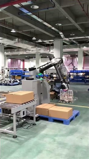 Robot Palletizer Carton Box Palletizer Stacking Robotic Palletizer Machine for Production Line