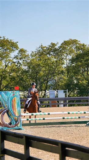 Nothing moves like a jumper with Arabian blood #SportHorseNationals #shn2025 #arabianstheoriginalsporthorse | Arabian Horse Association