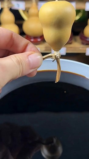 Watch This Gourd Transform Into a Masterpiece! 😲✨#Pyrography #Shorts #facts | Social Outlet