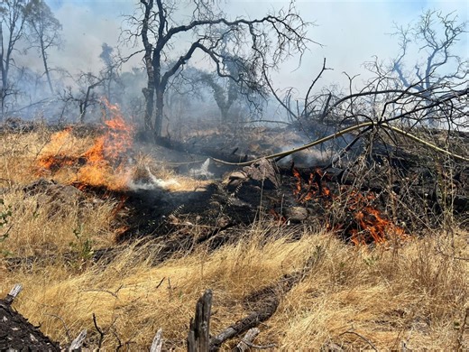 Crews battle grass fire in St. Helena, 4 firefighters hospitalized