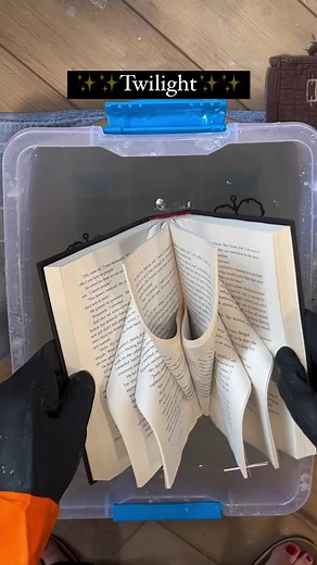 If it’s Twilight, it’s gotta sparkle! When I found this apple I knew what I needed to do. This one will be up in my shop once it dries unless someone wants to claim it in advance. Comment below to claim and I’ll reach out. It will be ready to ship in time for the holidays....#crystallizedbook #crystallizedbooks #crystal #crystals #crystalbook #crystalbooks #crystalgram #recycledart #recycledbook #crystallover #booklover #bookworm #bookstagram #booktok #bookish #bookaesthetic #bookaesthetics #boo