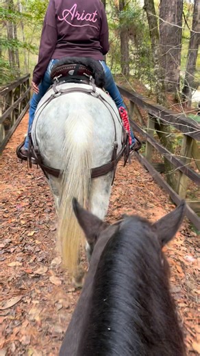 25 reactions | A couple of the wooden bridges crossing over the many creeks located in the Homochitto National Forest riding out if Just Ride Horse Camp located in Gloster, MS. #zippingwithzz | Robbyn Huber-Sumner | Facebook