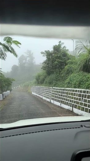 safe drives tips in fog #travel