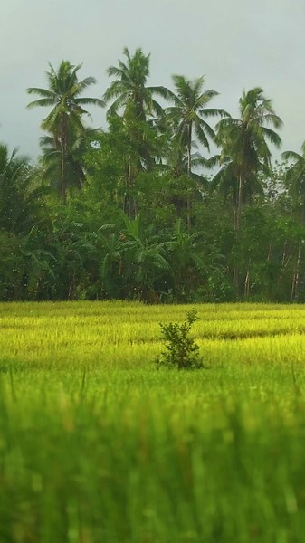 Seve Films on TikTok