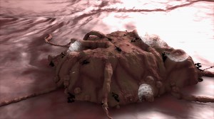 3d Rendering Cancer Cell Stock Motion Graphics SBV-307571615 - Storyblocks