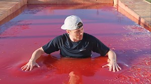 Mark Rober Fills A Pool Full of Actual Gelatin