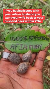 2.3K views · 18 reactions | If you need your ex girlfriend or boyfriend back #contact me | Nana Owusu Boadi | Facebook