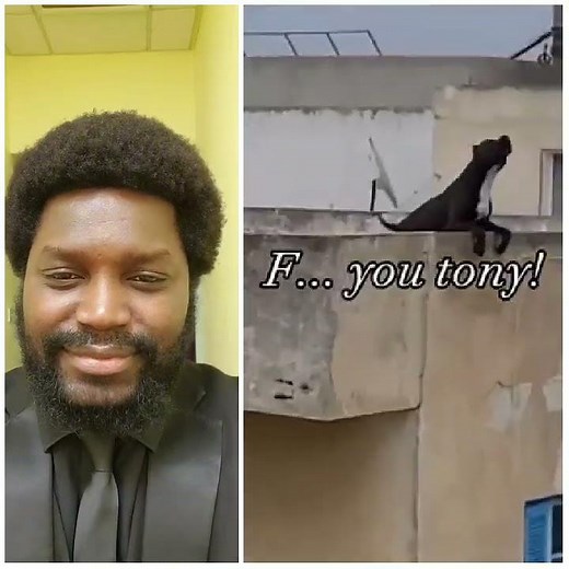 What's your name - Tony & Ezekiel