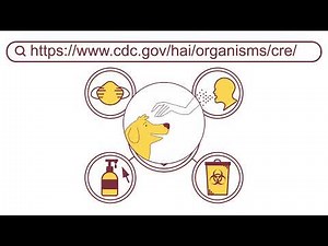The Hidden Carbapenem-Resistant Enterobacterales (CRE) Threat: What Vets Need to Know