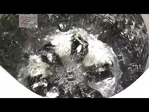 WA50M7450AW Samsung Normal Cycle Extra Rinse Just Water