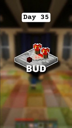 Day 35 of Redstone Basics - Comparator BUD