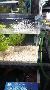 2.3K views · 4 comments | Lọc thùng SUNSUN HW-603B cho bể cá | Phụ kiện hồ cá | Facebook