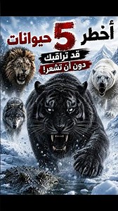اخطر 5 حيوانات مفترسة في العالم #حيوانات #عالم_الحيوان #غرائب#animals #wildlife