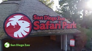 San Diego Zoo TV Spot, 'Safari Park'