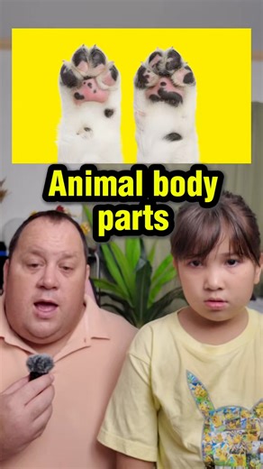 67K views · 1.9K reactions | Animal body parts #learnenglish | English Lingo | Facebook