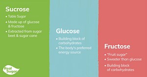 THE SCIENCE OF SUGAR: Continuing today and each Saturday for the next...