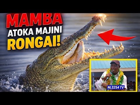 Hon Chebor MP Rongai development: Moricho school's 6-classes transformation