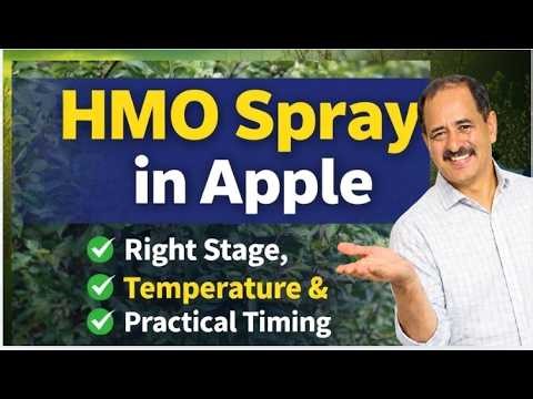 HMO Spray in Apple | YSP University Nauni Recommendations