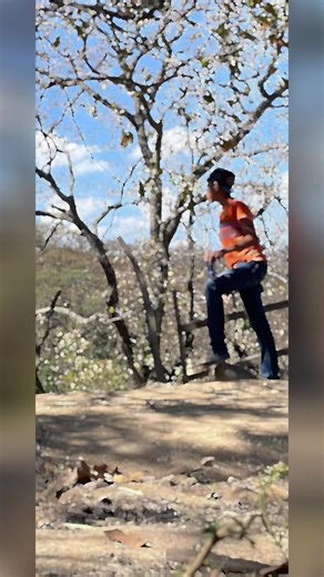 Videos de Brayan toys (@inocencio.najera1) con “sonido original - Reyes”