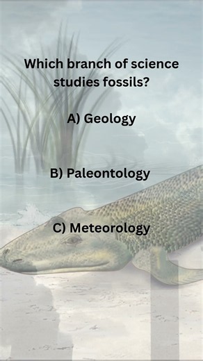 What Science Studies Fossils? 🦴 | GK Quiz #170
