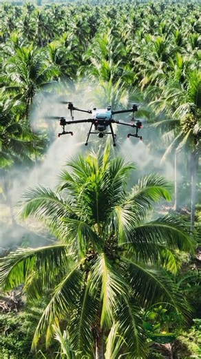 Agricultural Drone Spraying Coconut Trees 🚁🌴 | Modern Farming Technology #agriculture