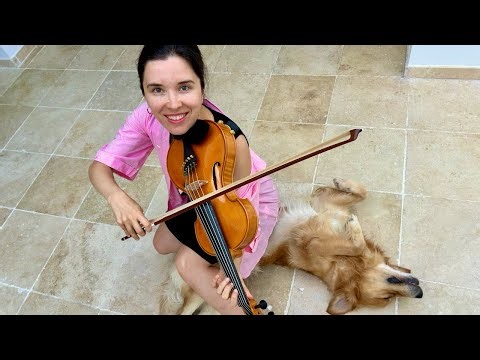 🎻 Bach Cello Suite on a 6-String Violin | A New Sound Perspective 🎶