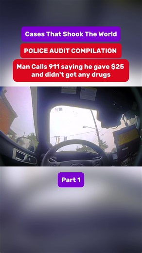 The confidence he had in this call 😭😂 #cops #viral #audit | audit