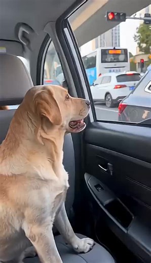 #fineart #socialmedia #drawing #colorful #instacolors #marketing #instapic #branding #digitalmarketing #socialmarketing #succes #colour #onlinemarketing #motivated #creative #urban #city #inspiration #successquotes #merrychristmas #russian #winter #vsco #фото #foto #newpost #fotooftheday #handmade #instatag #famous