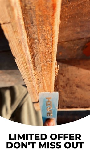 Black Friday Offer - Free FREE Hive Q Hive Tool worth £14.99 with the 14-Day Beekeeper course this weekend. | Black Mountain Honey