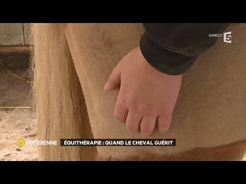 Equithérapie : quand le cheval guérit