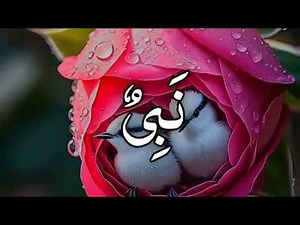 Asma-un-Nabi-ﷺ)-99)names of Prophet Muhammad ﷺ Islamic Reminder