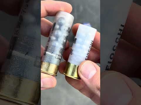 Choosing the Best Ammo for Home Defense