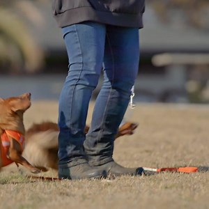 772K views | Adobe Lightroom on Reels | Facebook