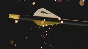 Gold Tip Archery TV Spot, 'Accolades'