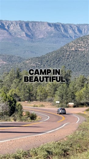 Mogollon Rim, Payson, Arizona #nicolefordphotography #nicoleford #arizonalife #arizona #azlife #ilovearizona #explorepage #adventure #photooftheday #instagood #explorearizona #landscape #usa #usareels #camping #roadtrip #landscapephotography #visitarizona #ArizonaTravel #arizonaliving #fypageシ #fypシ #explorepage #highlightsシ゚ #payson #paysonaz #mogollonrim #forest #ForestEscape #hiking | Nicole Ford Photography