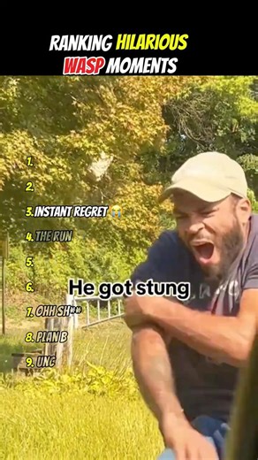 Ranking hilarious wasp moments