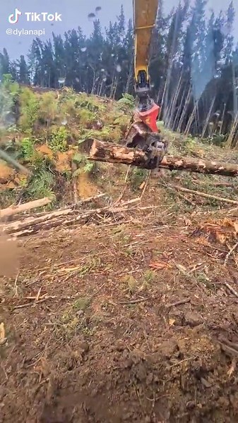 Throwback to Wood Throwing Adventures in Winter