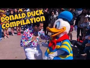 Donald Duck Meet & Greet Compilation