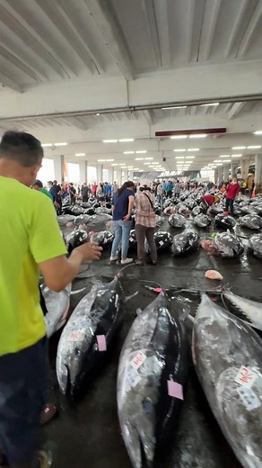 25K views · 203 reactions | midnight madness at taiwan’s largest bluefin tuna market! #bluefintuna #taiwanseafood #nightauction #seafoodshow #fishingculture | 94愛七桃 | Facebook