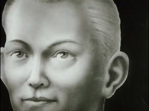 Sound Waves & Hearing: The Science of Human Audition